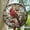 Red Cardinals, variant on Red Cardinals Stained Glass Suncatcher Window Hanging Decor, New House Decor, Bird Lover Gift , Holiday Ornament, Christmas Bird Windchimes, Stained Glass Ornament 2025, Holiday