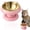 H, variant on Elevated Cat Bowls, Anti-tip Stainless Steel Feeding Plate, Neck Protection Wide Opening Cat Elevated Food Bowl, for Indoor, Outdoor, Home, Daily, Veterinary, Kitten, Dog