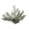 thumbnail image 2 of Vickerman 9' Frosted Glitter Tannenbaum Pine Artificial Christmas Tree, Clear Dura-Lit® Lights, 2 of 6