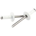 thumbnail image 1 of Allstar Performance ALL18092 Medium Head Multi-Grip Rivet, White - Pack of 250, 1 of 1