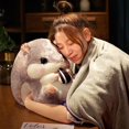 thumbnail image 2 of Cobertura de almohada de mano cálida bonita, edredón de doble uso para niñas y niños, coche de dormir dos en uno, muñeco de hámster de oficina, regalo para niños y niñas Afortunado Sencillez, 2 of 4