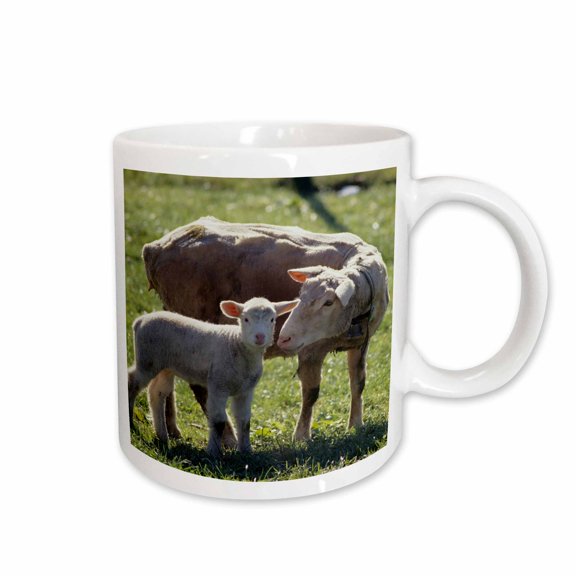 3drose, Farm Animals, Sheep, Oberaegeri, Switzerland - Eu29 Rnu0021 - Rolf Nussbaumer, 15oz Mug