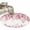 Pink, variant on Pink Eucalyptus Leaves 2'x3' Washable Rug, Summer Botanical Watercolor Non-Slip Soft Doormat Area Rugs for Entrance Bathroom Bedsides, Carpet for Kitchen Bedroom, Entryway Floor Mat