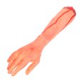 thumbnail image 3 of Broma de Halloween con parte del cuerpo rota falsa y aterradora: parte del cuerpo humano cortada, 3 of 6