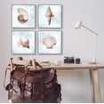 thumbnail image 2 of Stupell Industries Underwater Sea Life Shells Graphic Art Gray Framed Art Print Wall Art, Set of 4, Design by Marcus Prime, 2 of 7