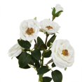 thumbnail image 2 of Hill Interiors The Natural Garden Collection Hedge Rose Artificial Flower, 2 of 4