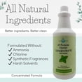 thumbnail image 6 of EarthSential Peppermint Plant-Based All Purpose Cleaner Concentrate 32 oz Makes 64 16 oz Bottles, 6 of 6