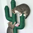 thumbnail image 3 of Cat Tree Scratng Posts Cuerda de cáñamo gruesa Cuerda de 6 mm Cam En -purpose Utility Diy Craft Cuerda para Rep Sustitución Stripe Pad Carpet Kicker, 3 of 5