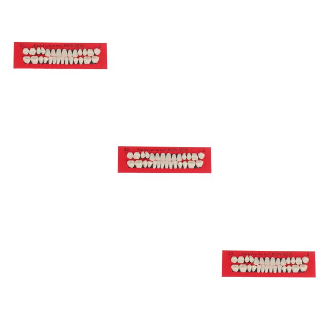 Seitruly 28 unids/set modelo de de resina dentaduras duraderas postizos universales Resi Type1 NO1 Seitruly CBP588903