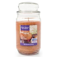 Better Homes & Gardens Farm Apple Pumpkin Single-Wick Jar Candle, 18 oz.