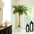 thumbnail image 3 of Nearly Natural Potted Coconut Palm Artificial Tree - 6', 3 of 8