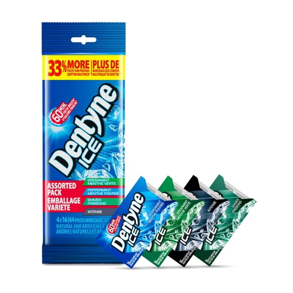 Dentyne Ice, Assorted Sugar-free Gum Multipack - Pack of 4 (64 Pieces)