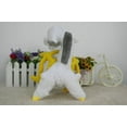 thumbnail image 3 of Pokemon the Spirit Beast 25cm, 3 of 5