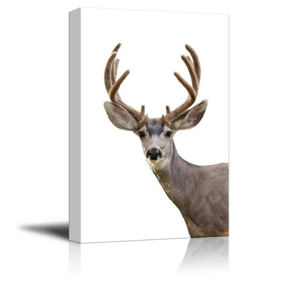 wall26 - Canvas Wall Art - A Deer - Giclee Print Gallery Wrap Modern Home Art Ready to Hang - 12" x 18"