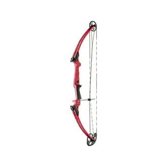 Genesis Original Compound Bow for Hunting, Adjustable Size, Right