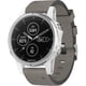 thumbnail image 2 of Garmin Paquete Fenix 5S Plus Edición Zafiro (42 Mm, Blanco/gris) con Accesorios, 2 of 4
