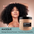 thumbnail image 3 of Sunny Isle Pure Chebe Masque Réparateur Intensif 16oz / Infusé de Poudre Pure Chebe et d'Huile de Ricin Noire Jamaïcaine, 3 of 6