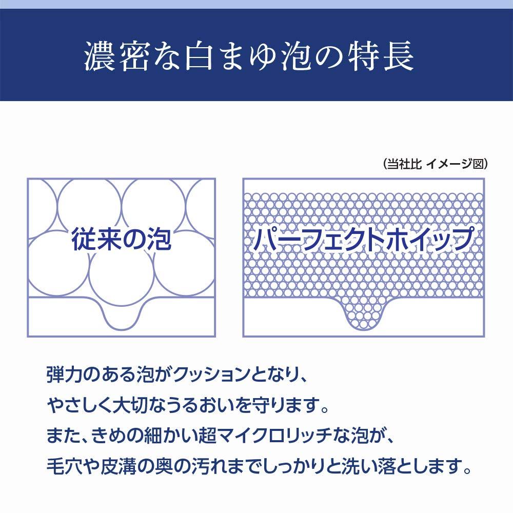 Senka - Two Senka Perfect Whip 120g By Shiseido - Walmart.com