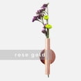 thumbnail image 4 of Soporte para jarrones de plantas montado en la pared de estilo nórdico, decoración para sala de estar de acero inoxidable Tmvgtek Oficina Multiescena Multifunción, 4 of 7