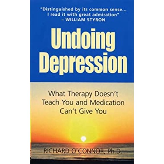 Pre-Owned Undoing Depression : What Therapy Doesn't Teach You and Medication Can't Give You (Paperback) 9780285638020