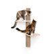 thumbnail image 1 of Sistema de pared para escalar para gatos - Modernos estantes flotantes y perchas para gatos - Sunrise Steps | Ascenciales de FurHaven, 1 of 1