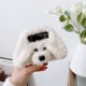 thumbnail image 5 of Cute Furry Dog Case Compatible con Samsung Galaxy Z Flip 3/4, Plush & Hard Pc Frame Protective Cover Aespa kaili Sencillez, 5 of 5