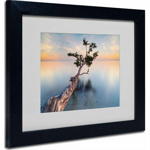 Trademark Fine Art "Water Tree XIV" Matted Framed Art by Moises Levy, Black Frame
