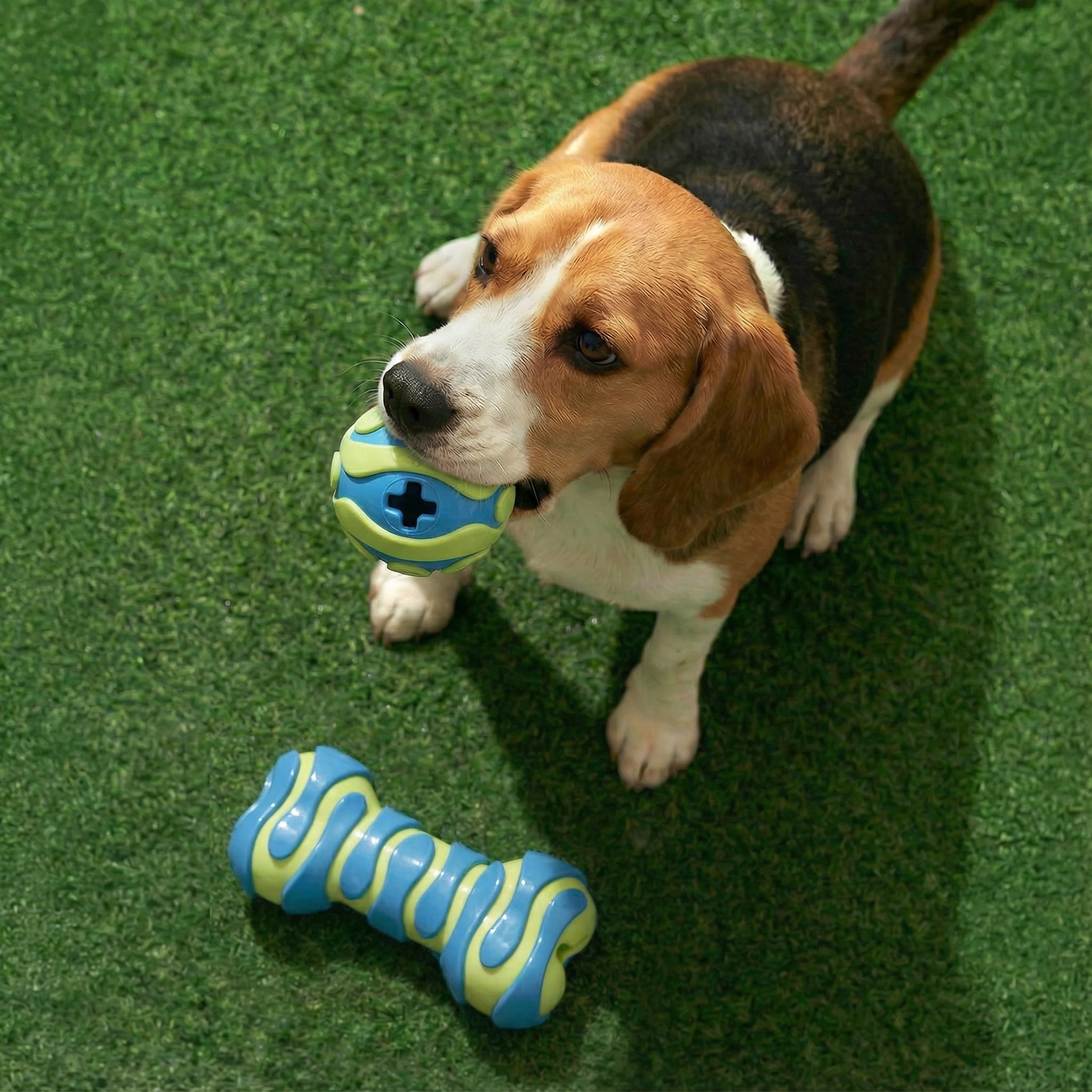 Oodles Durable Textured Rubber Ball and Bone Dog Toy Set, Blue, One Size