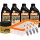 thumbnail image 1 of Kit De Afinación Con Aceite 10W30 Sintético, Bujías Cobre, Filtro De Aire Y Filtro Para Aceite Sintético 10 Piezas Compatible con Kia Rio L4 1.6L DE 2006 A 2008, 1 of 1