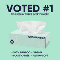 thumbnail image 3 of Save Trees Bamboo Facial Tissues - 12 Bamboo Tissue Boxes, 100 Hypoallergenic Facial Tissues per Box - Unscented, Fragrance-Free, 3 of 7