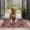 Pioneer Flower Floral-1, variant on Pioneer Flower Floral Print Pattern Door Rugs,Washable Non Slip Door Mats Indoor,Decorative Door Mats,Entry Mat Indoor for Entrance,Bedroom,Kitchen,Bathroom,17"x30"