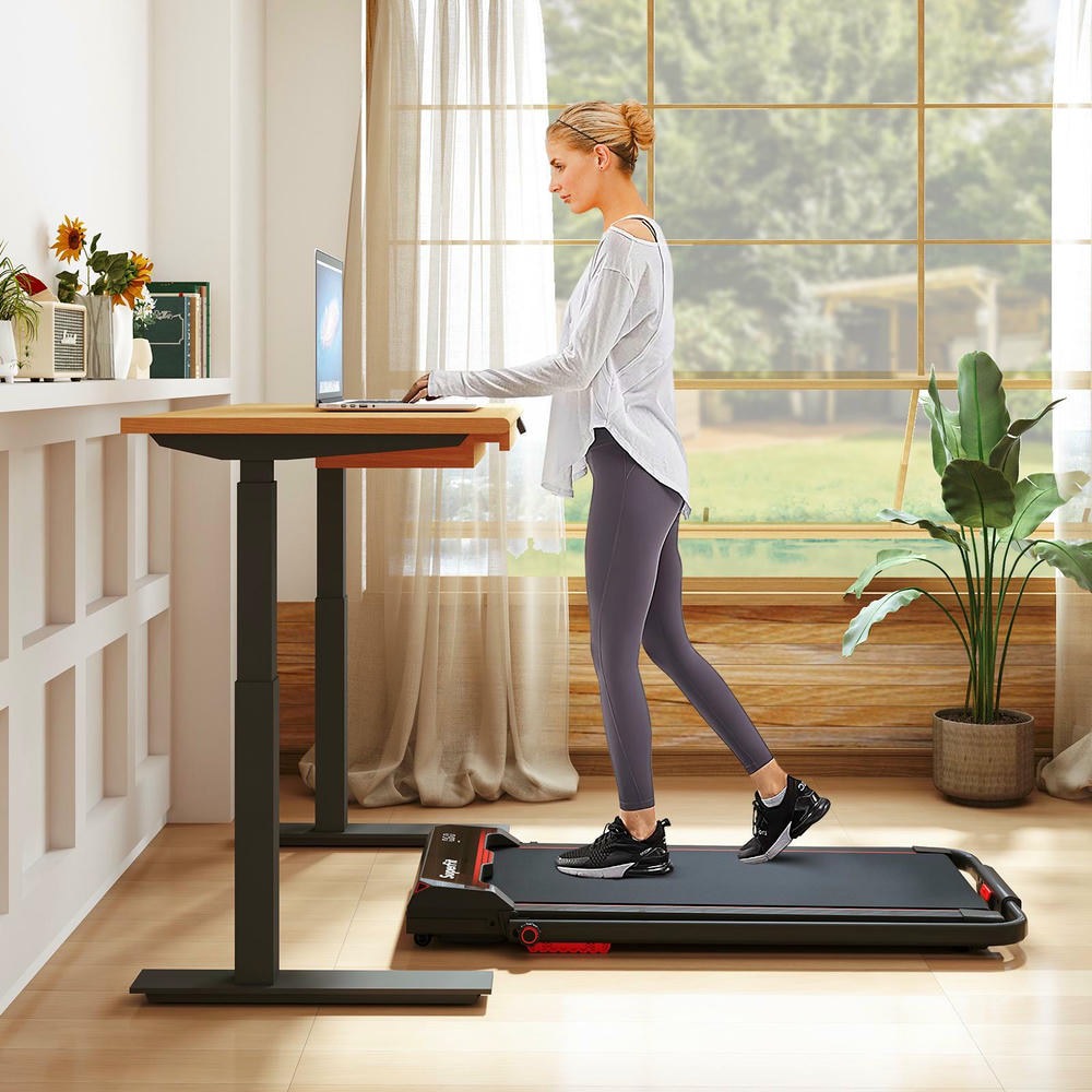 Barara King 3 in 1 Walking Treadmill with Remote Control and LED Display, Foldable Treadmill for Home Office, Home Gym, Red