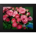 thumbnail image 2 of Bolokofsky, Ronald 14x12 Black Modern Framed Museum Art Print Titled - Pot of Roses, 2 of 5