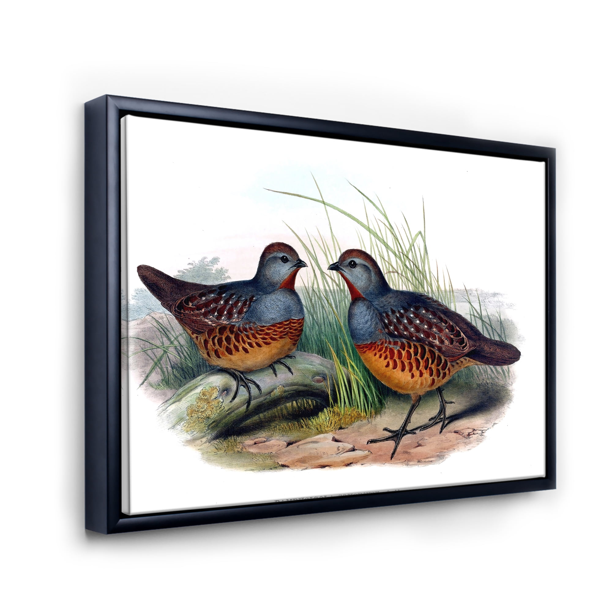Designart 'Ancient Birds In The Wild VII' Traditional Framed Canvas Wall Art Print
