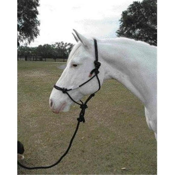 Liquet de Corde avec Cheval Adulte de Plomb- Moyenne Noire - RHL AVBK