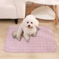 thumbnail image 4 of FYTPOV Dog Crate Mat, Soft Corduroy Dog Mat, Anti-Slip Bottom Cat Mat, Cute Pet Mat for Cats Puppy Dogs, Machine Washable, 20*16inch, 4 of 5