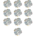 thumbnail image 2 of Nail Art 3D Resin White Rose Flower Design Aurora Petal Nail Studs Charms Nail Art Rhinestones Diy Acrylic Manicure Tips Decoration, 2 of 5