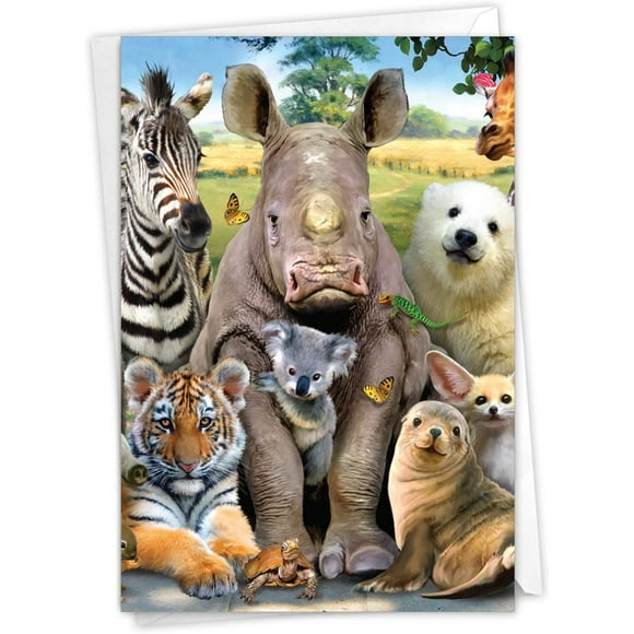 C6639agwg-nous Voici Regardant Zoo: Obtenir Bien Salutation Card de Nous Tous, avec Enveloppe.