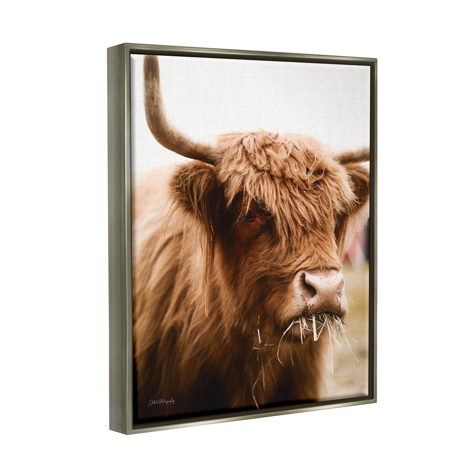 Stupell Industries Cattle Chewing Photography Animals & Insects Photography Gray Floater Framed Art Print Wall Art, 17 x 21