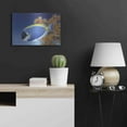 thumbnail image 4 of Luxe Metal Art 'Powder Blue Tang' by Durwood Coffey, Metal Wall Art, 24"x16", 4 of 8