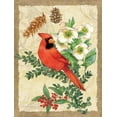 thumbnail image 2 of Paton, Julie 15x18 Gold Ornate Wood Framed with Double Matting Museum Art Print Titled - Holiday Cardinal, 2 of 4
