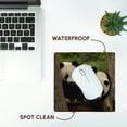 thumbnail image 7 of 3dRose, Giant panda bears, Wolong China Conservation, CHINA-AS07 POX0378 - Pete Oxford, MousePad, 7 of 7