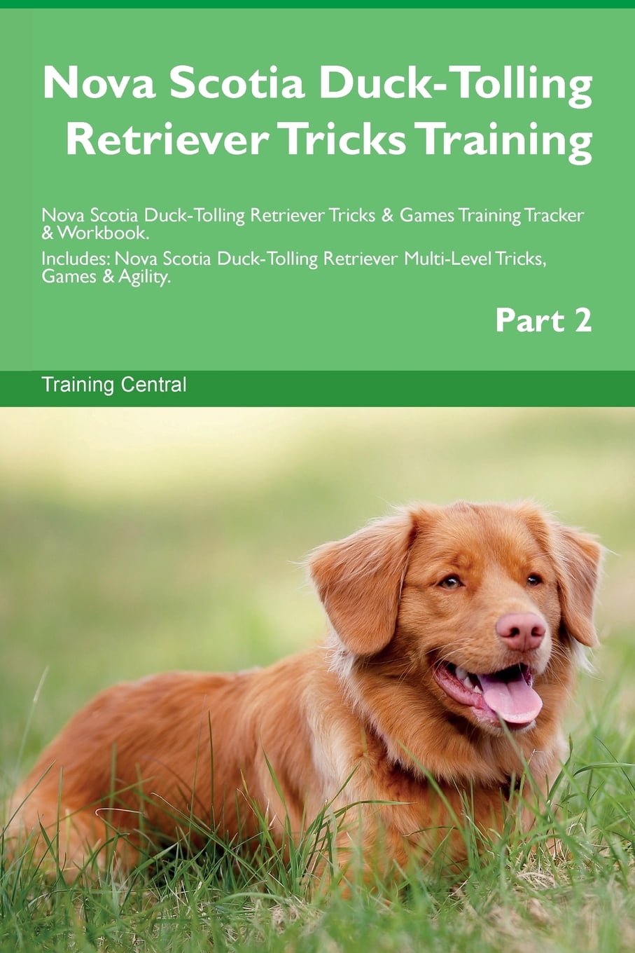 nova scotia duck tolling retriever training