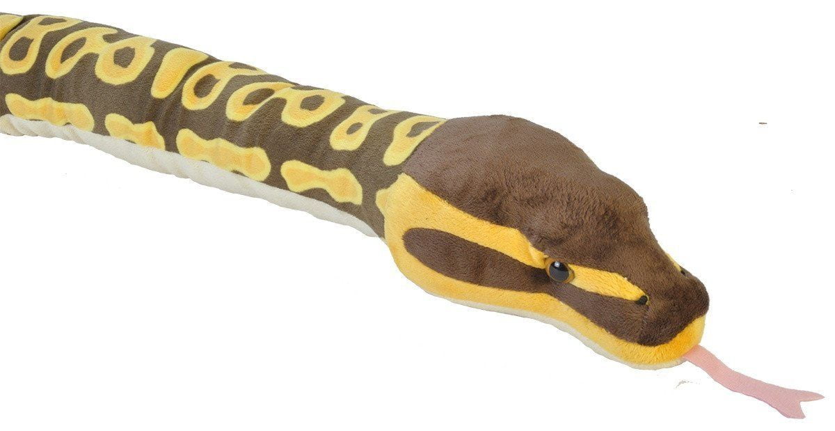 wild republic snake