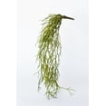 thumbnail image 2 of 24" Faux Pencil Cactus Hanging Succulent Bush, 2 of 4