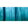 thumbnail image 3 of McLoughlin, James 18x11 Black Modern Framed Museum Art Print Titled - Harriman Woods II, 3 of 5