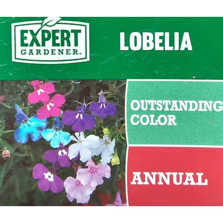 Expert Gardener, Outdoor, Live Plants, Multicolor, Combination, 1.5G, Each