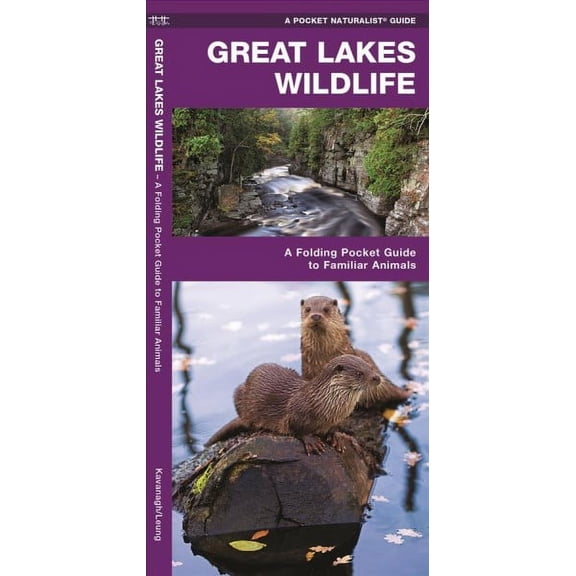 Regional Nature Guides: Great Lakes Wildlife: A Folding Pocket Guide to Familiar Species (Other)