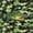 Camo 04, variant on Feelyou Largemouth Bass Fish Twin Sheet Sets for Men, Farmhouse Wooden Camo Bedding, Brown Green, 3-Piece