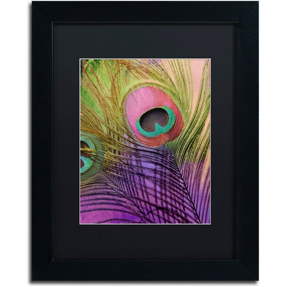 Trademark Fine Art "Peacock Candy III" Canvas Art by Color Bakery Black Matte, Black Frame